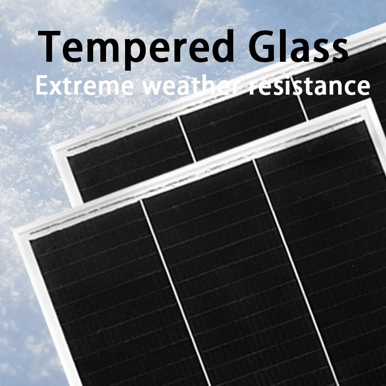 Glass Solar Module